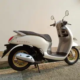 HONDA SCOOPY PRESTIGE TAHUN 2021 CASH / KREDIT MURAH DP MULAI 500 RB