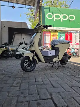 Sepeda listrik X670