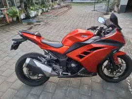 Ninja 250 bisa TT metic