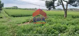 Dijual Tanah di Jalan Raya Singosari Malang