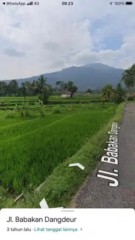 Jual sawah 345 bata