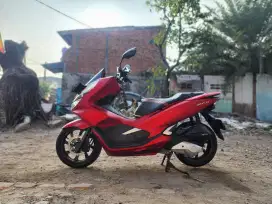 PCX 2020 Lengkap Pajak Hidup