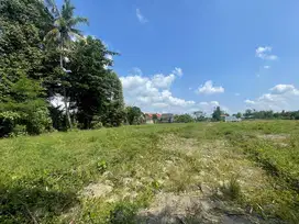 Tanah Purwomartani 1 Jutaan Tepi Jalan Aspal