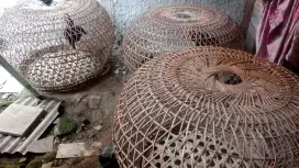 Janggaran ayam pama/mangon