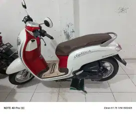 Jual beli scoopy th 2020 seberang warung mas bro hairi motor s adam