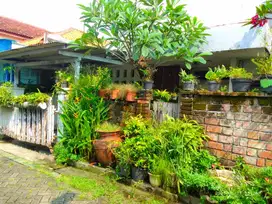 24. DIJUAL RUMAH HITUNG TANAH KETINTANG BARU SURABAYA