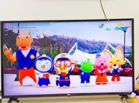 Tv LED LG 49 Smart Digital