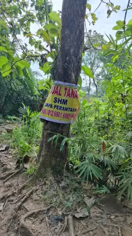 Dijual Tanah CEPAT Lokasi Binjai