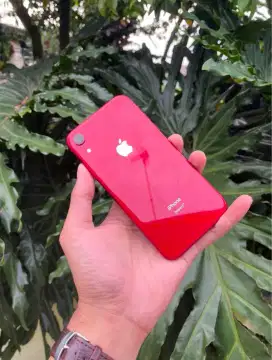 iPhone XR 64GB Merah Mulus