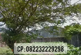 DIJUAL TANAH NOL JALAN BASUKI RAHMAT JEMBER