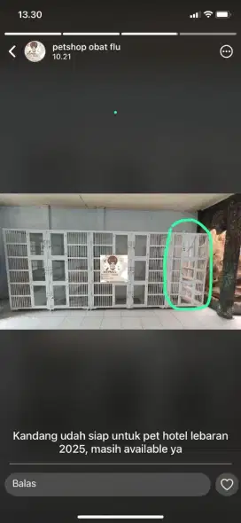 Cat room cleaning