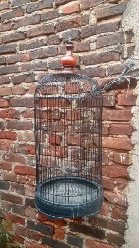 Sangkar / kurung lovebird