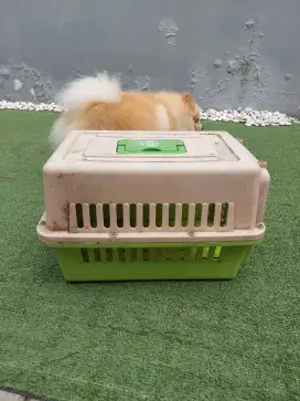Pet cargo Kennel box Airline standard Approved