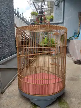 Kandang burung murai