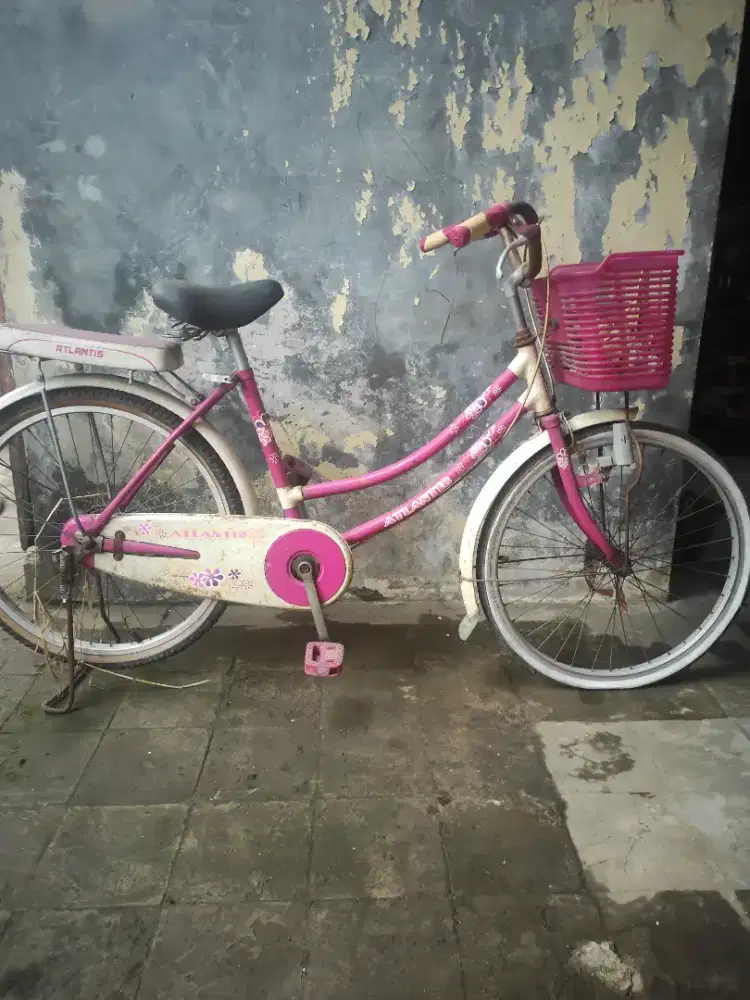 Sepeda Keranjang Wanita