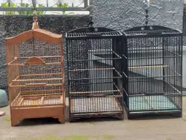 Burung kenari kandang bekas