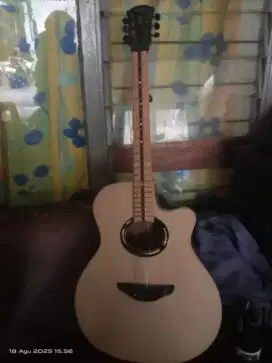 Yamaha custom akustik elektrik