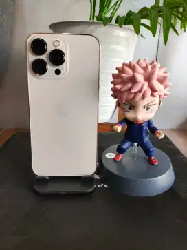 iPhone 13 Pro 512Gb Beacukai