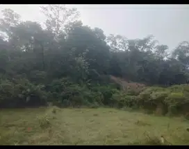 Lahan murah strategis