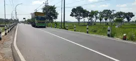 Tanah  canrik murah view sawah di Sleman
