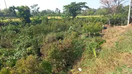 Dijual Tanah Kawasan Persawahan