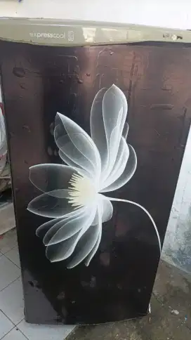 Kulkas LG masih normal dinginnya