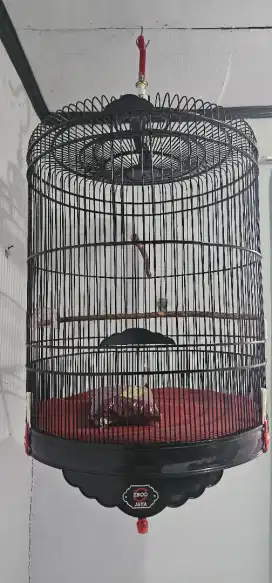 Kandang EBOD no 2