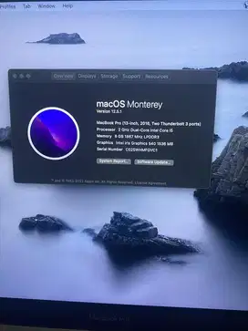 Macbook pro 2016,13, ram 8/256