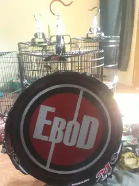 Sangkar muray Ebod Decal PVC