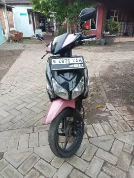 Vareo 2007.lngkap hidup
