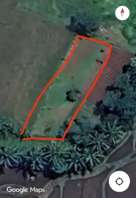Bismillah Jual Tanah Kebun Cianjur