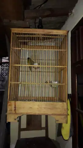 Sangkar burung bekas