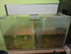 Aquarium  + ikan louhan 5 jari + mesin filter dan filter