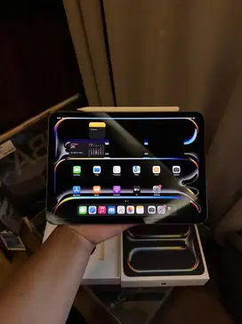 ipad pro M4 256gb wifi only + apple pencil pro