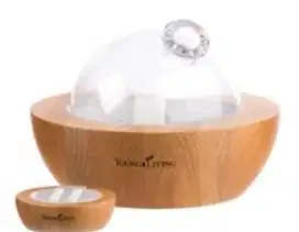Aria diffuser young living