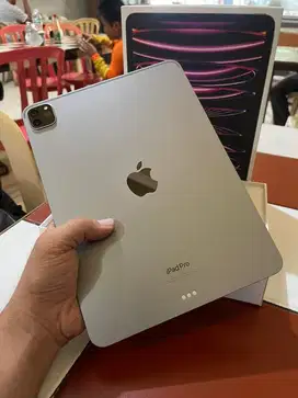 IPad PRO M2 256GB, Wifi ( Gray ) || Likenew