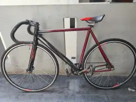 Sepeda Fixie custom