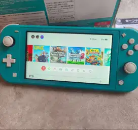 Nintendo switch lite Ram 256