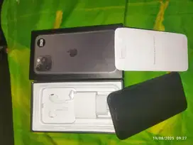 11 pro 256gb inter