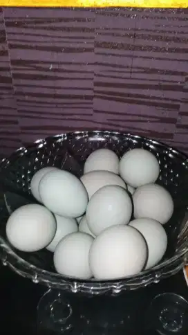 Telor Asin Mang Ole