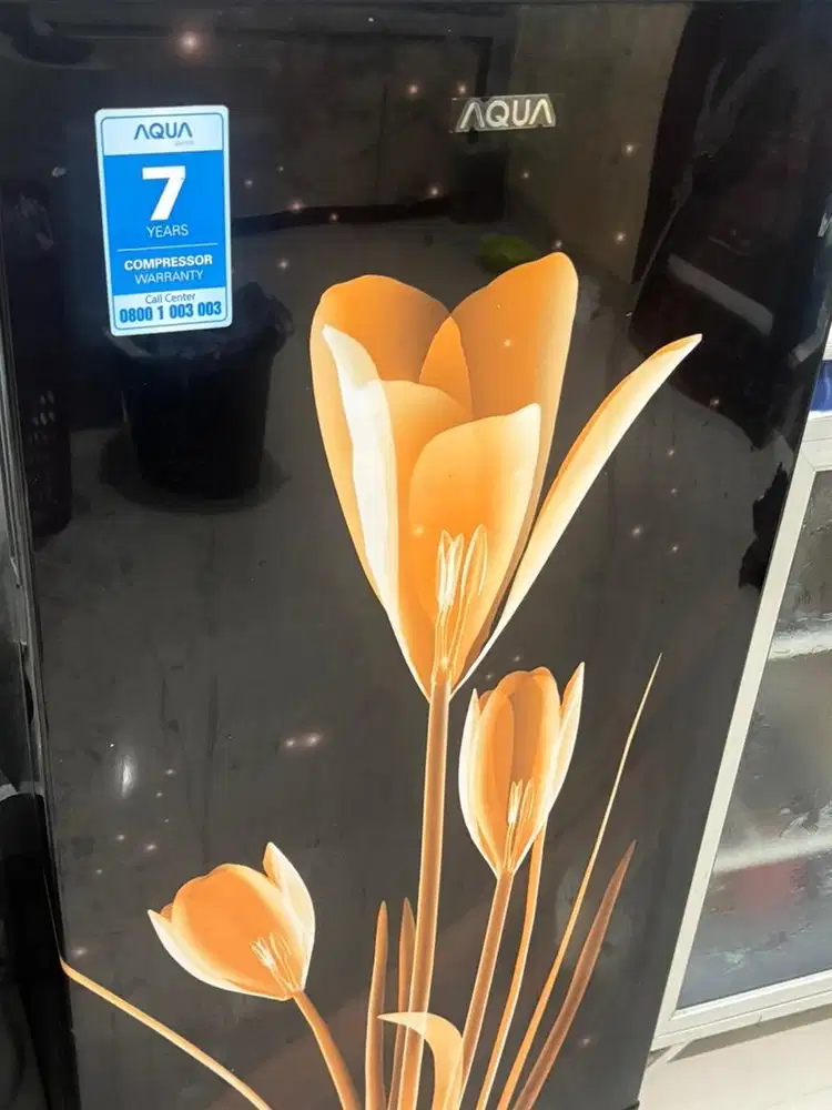 Kulkas Aqua 1 Pintu