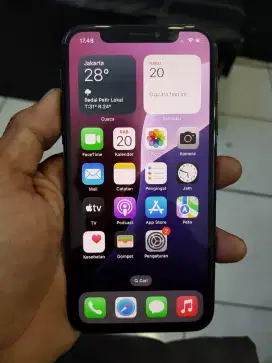 Iphone xs 256gb inter