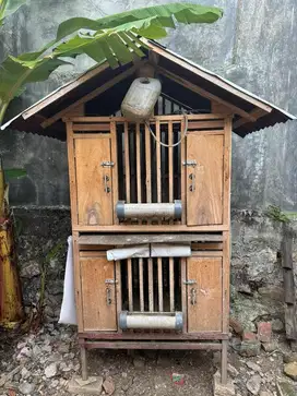 Kandang ayam keren kayu asli