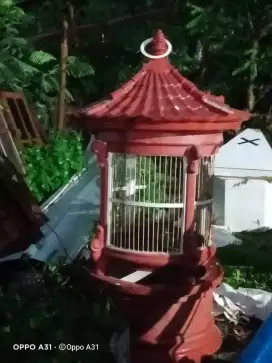 Kandang Burung Beo