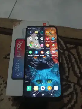 Xiaomi note 9pro 8/128