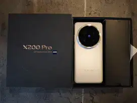 vivo x200 pro 16/512 silver titanium