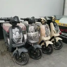 Exotic X670 Paling Laris
