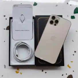 iPhone 12pro 256 GB WARNA GOLD  all operator 5G