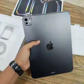 Apple iPad Pro M4 11 inch 256GB Wifi Only Second Like New