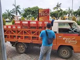 Krat dan botol teh sosro per 1 krat isi 24 botol kosong